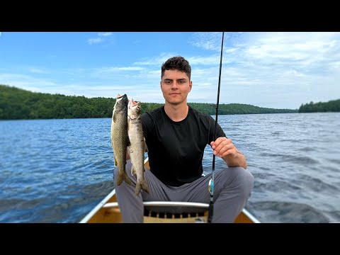 4 Days Fishing, Camping & Eating What We Catch in Algonquin