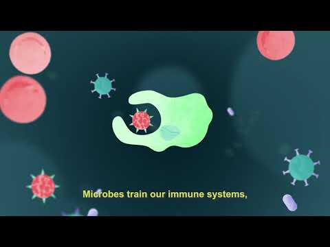 What Are Microbes? - LET THEM EAT DIRT - feature documentary