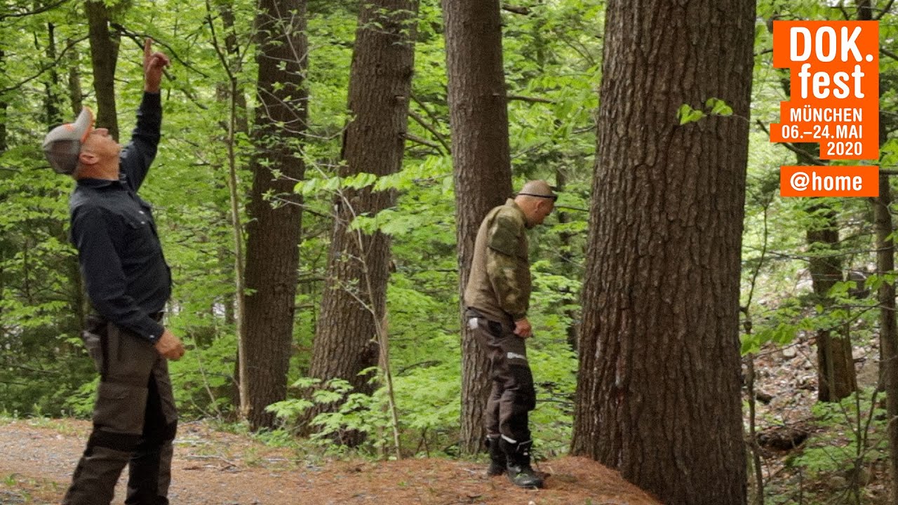 DOK.fest München @home 2020 | FOREST CODE | Trailer