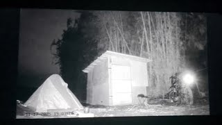 Download lagu MISTERI GUBUG REOT PINGGIR POHON BAMBU ANGKER KEDIRI 🥶 mp3 Download lagu MISTERI GUBUG REOT PINGGIR POHON BAMBU ANGKER KEDIRI 🥶 mp3