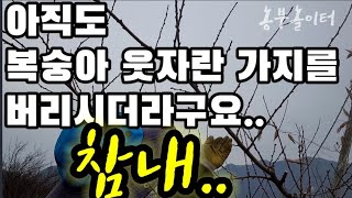 아직도 복숭아 도장지를 버리시더라구요, 참내.. Do not discard the peach stamp.