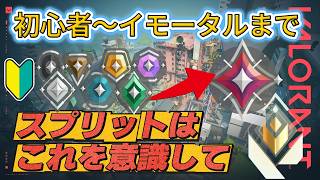 【元レディアントが解説】スプリット完全攻略（野良での勝ち方、クリアリングの順番、注意ポイント、強い攻め方、強いポジション、守り方、etc..）【マップ攻略シリーズ】