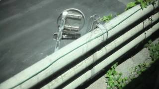 【shooting & cutting by rouleur69 no4】White Mischief - penguin cafe orchestra