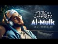 Surah Al Mulk سورة الملك Cure Your Depression Anxiety Surah Mulk Lofi Quran Surahmulk