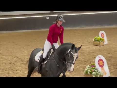 Lot 6 Cause it's Otto v. Chaman/Cassus