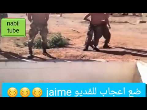 تدريبات وحش المتوسط القوات الخاصة الجزائرية