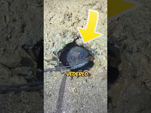 He TOOK a very quick SNAP…😰😳 (@WildTouring) #shorts