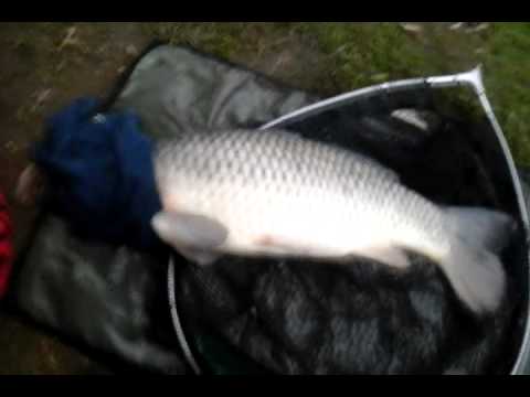 Fishing with Bob, While Rudd fishing this happened!