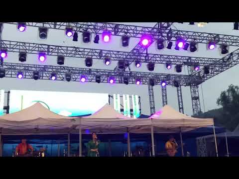 [직캠] [그린플러그드2019] 잔나비 - SHE + 신나는 잠 (feat. 이수현 of 악동뮤지션)