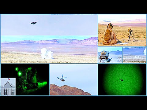 Marines in Action: TACPs Leading the Way in 29 Palms