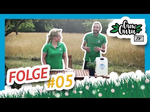 Outdoor Grow: Brennnesseljauche selber machen