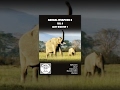 Animal Weapons 2 Sexy Biester 1