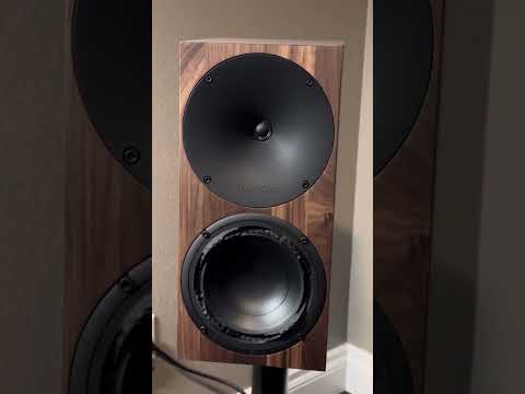 Buchardt Audio A10 listening with bass track