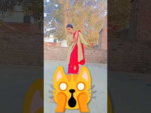 Mau Mau //billi // Billi ki awaaz #cat#funny #sound #billi #billi #voice billi voice