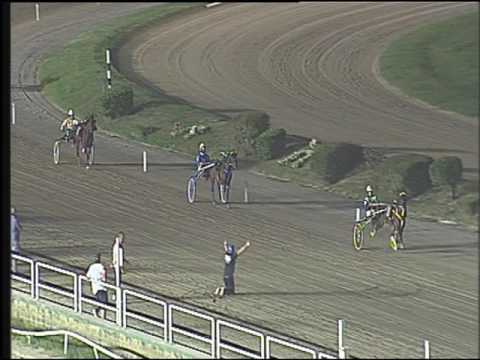 Trotto 25/09/2016 - corsa minitrotter