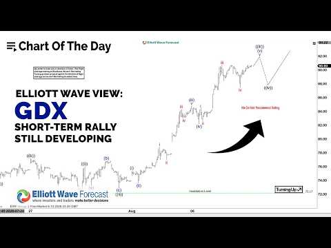 GDX Elliott Wave Video