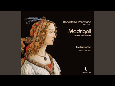 Libro de madrigali, Book 6: Cruda Amarilli