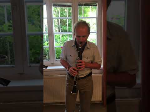 Präsentationsvideo für Klarinetten- und Saxophonunterricht