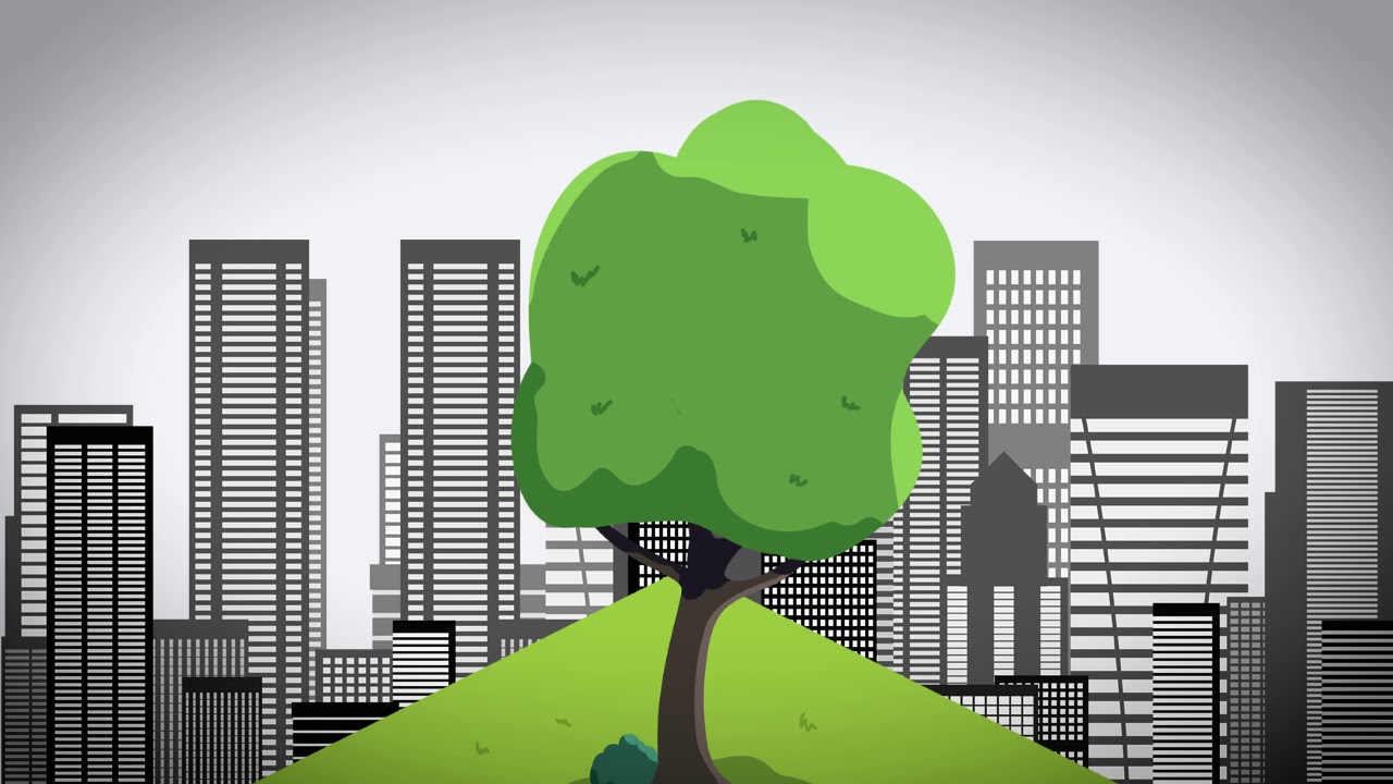 Your Local Choice for Internet