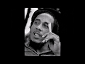 Bob Marley The Wailers Kaya Dub