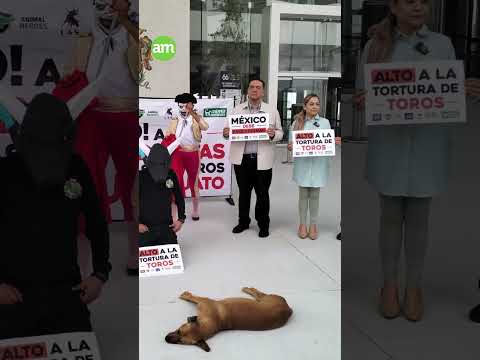Antitaurinos en el Congreso: Apoyan iniciativa contra corridas de toros con violencia