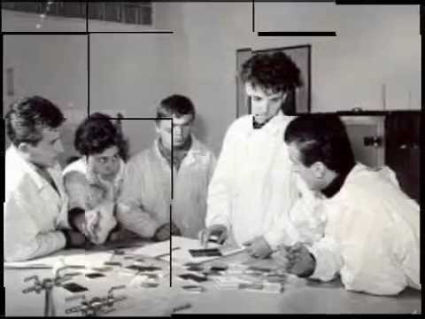 Stéblo Pšenice-karel kryl