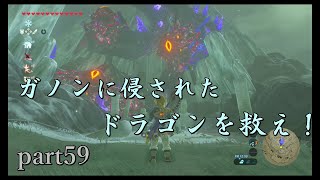 【ゼルダの伝説ブレスオブザワイルド】ドラゴンはいいから記憶の場所が知りたい【実況プレイ】part59