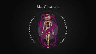 Mis Cicatrices Music Video