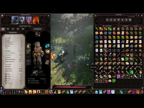 DIVINITY ORIGINAL SIN 2 Gameplay walkthrough part 13 - The Hollow Marshes - No commentary