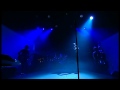 Alain BASHUNG - Tel (Bataclan 2003)