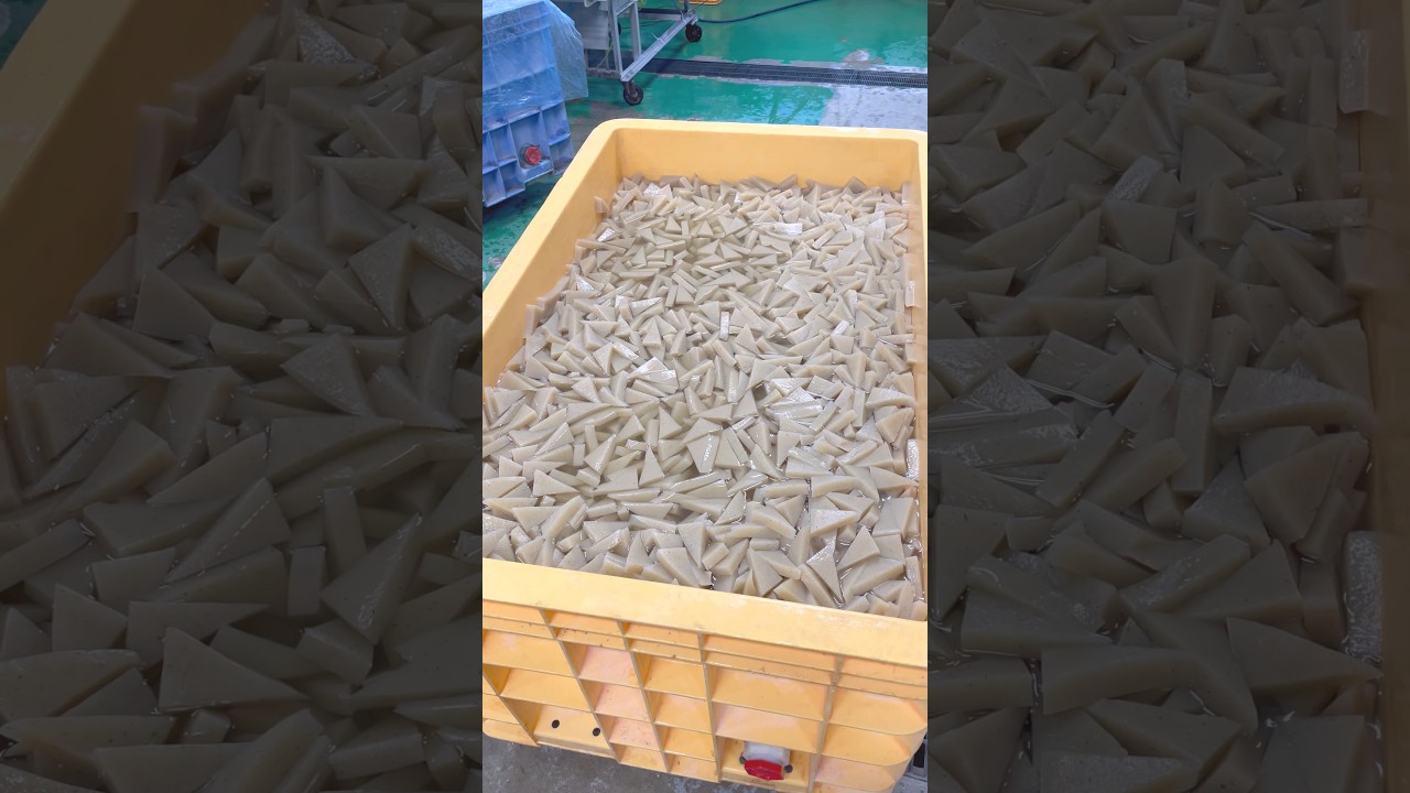 こんにゃく工場密着！#大阪 #japan #工場