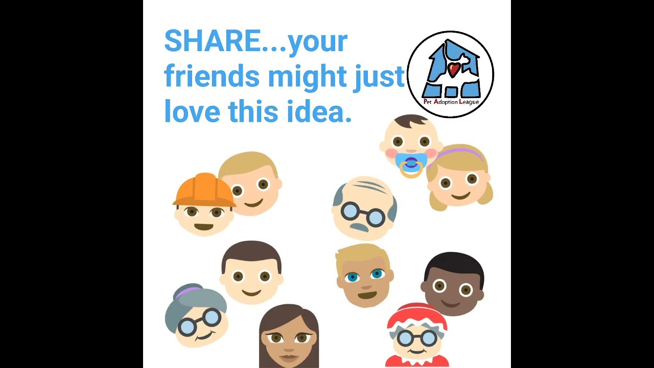 Enlarge Andy, a Adoptable Mixed Breed in Emmett, ID video 4/4