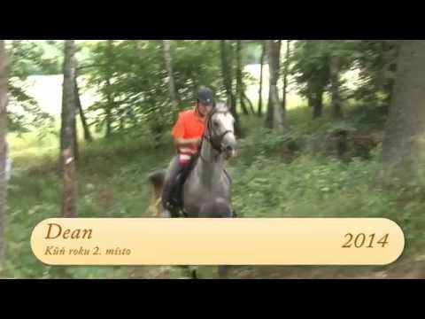 Kůň roku 2014 - 2. místo