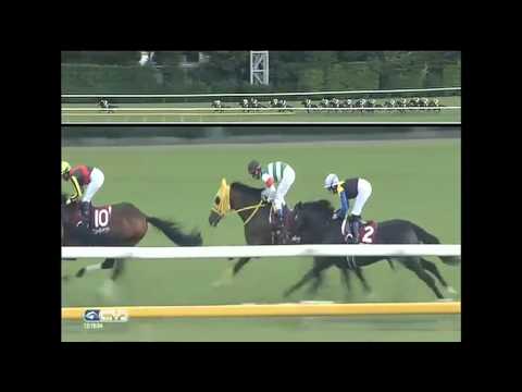 2015.05.31 Meguro Kinen (JPN) - Hit the Target
