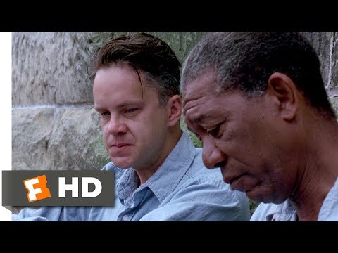 The Shawshank Redemption (1994) - Get Busy Living or Get Busy Dying Scene (6/10) | Movieclips