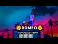 Lady Killer Romeo Slowed Reverb Romeo Dev Subhashree Jeet Gannguli Bengali Lofi
