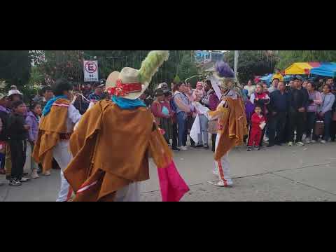 NEGRILLOS DE TALAVERA ANDAHUAYLAS 2025