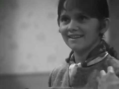 Oberinspektor Marek   -    Einfacher Doppelmord