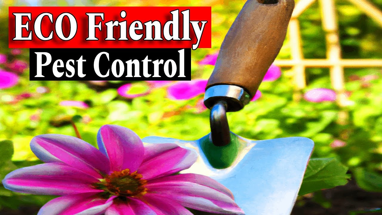 Eco-Friendly Pest Control for Your Garden