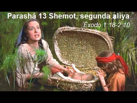 Parasha 13 Shemot Segunda Aliya Exodo 1v18 a 2v10
