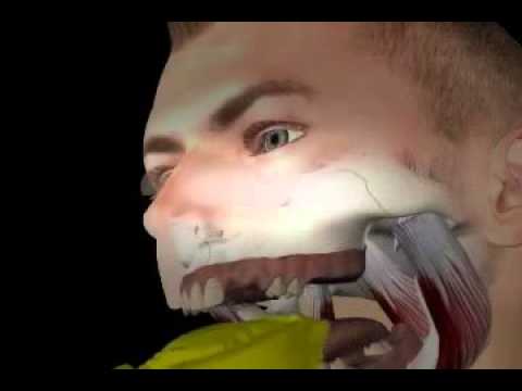 Bissnahme beim Zahnarzt