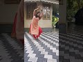 Geetha Govindam Inkem Inkem Dance Cover Nighila Sreedhar Instrumental Shorts