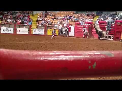 #339 Diamond Cat   3trips