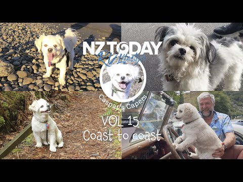 Caspars Capers vol 15 Roadie West to East Coast Mokau to Mt Maunganui.#dog #RVdog #doglovers #dogs