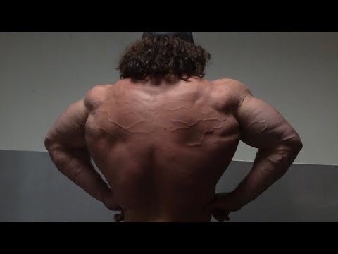 Fall Cut Day 24 - Back 235.4 Lbs