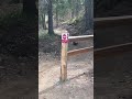 Wolverine Walks By Biker, Carrying Goat Head