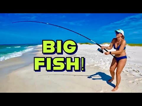 2 HOURS OF FLORIDA SURF FISHING FOR GIANTS!