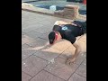 This Man Does Push Ups Like You Have Never Seen Before
