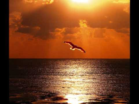 Mary Coughlan - I Can't Make You Love Me (GREAT VERSION)