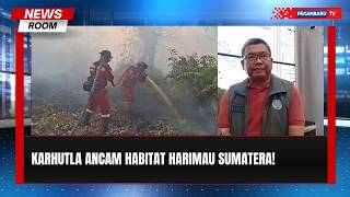 Karhutla Kepung SM Kerumutan, Habitat Harimau Sumatera Terancam